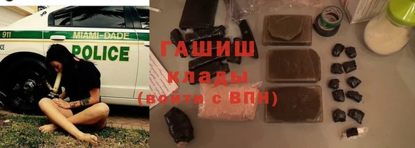 ГАЛЛЮЦИНОГЕННЫЕ ГРИБЫ Вяземский