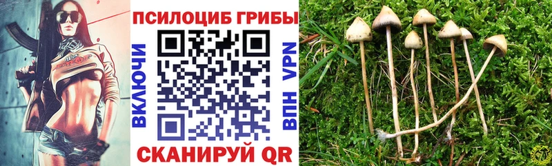 Галлюциногенные грибы Cubensis  ссылка на мегу ONION  Карабулак  как найти  